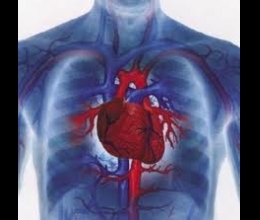 ишемическая болезнь сердца фото, ибс описание болезни, ишемия миокарда признаки и причины заболевания