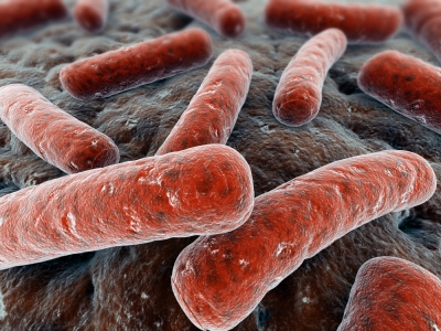 Бактериальные инфекции фото