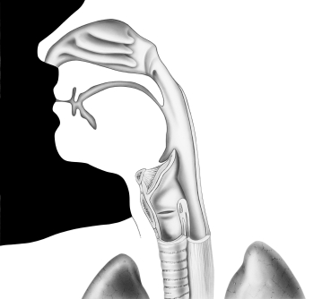 Эндотрахеальной интубации (введение дыхательной трубки) фото