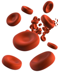 Анемия (низкое количество красных кровяных клеток) фото