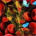 Аномалия вязкости плазмы (крови)