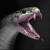 Укусы ядовитых змей (нейротоксические яды)