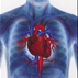 ишемическая болезнь сердца фото, ибс описание болезни, ишемия миокарда признаки и причины заболевания