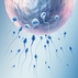 Intra цитоплазматической инъекции сперматозоида фото