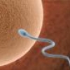 "Лаборатория на чипе" позволит в домашних условиях оценить качество спермы мужчины