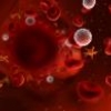 Очищение крови от токсичного кадмия с применением композитного наноматериала