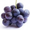 Регулярное употребление винограда в предупреждении возрастной дистрофии сетчатки