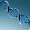2012: Применение генетической информации в лечении пациентов