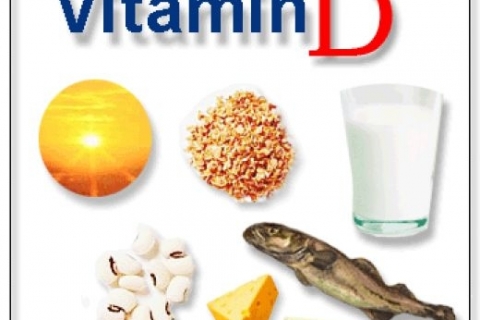 Витамин D предупреждает развитие онкологического заболевания
