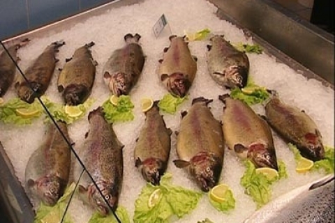 Зараженная рыба вызывает рак печени