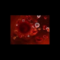 Очищение крови от токсичного кадмия с применением композитного наноматериала