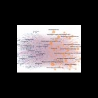 Компьютерная модель предскажет побочное действие препаратов