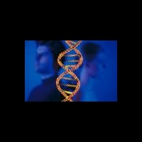Американские ученые сомневаются в эффективности исследования ДНК