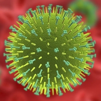 Еще 1 шаг к пандемии птичьего гриппа