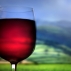 Ученые утверждают: умеренное употребление алкоголя предупреждает развитие остеопороза