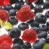 Лесные ягоды сохранят активность мозга