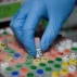 Генетические лаборатории приходят в федеральные университеты