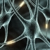 Ученые применят стволовые клетки для лечения психических расстройств