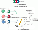 Ромесек Ranbaxy