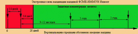 ФСМЕ-Иммун Инжект Baxter